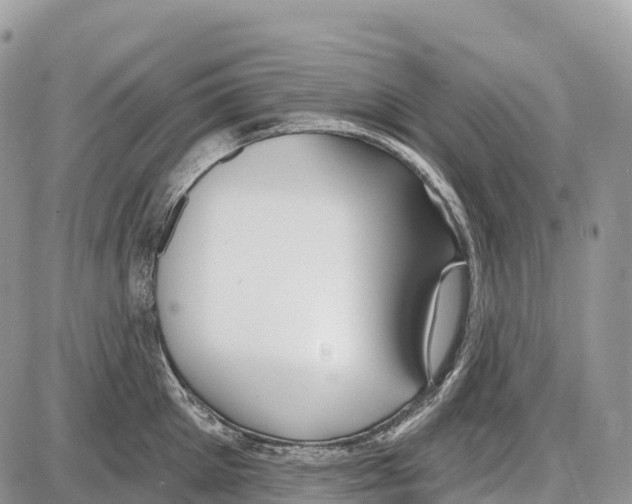 X0000086070905200704202123