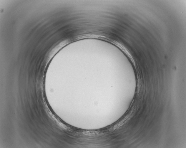 X0000086070906200704202123