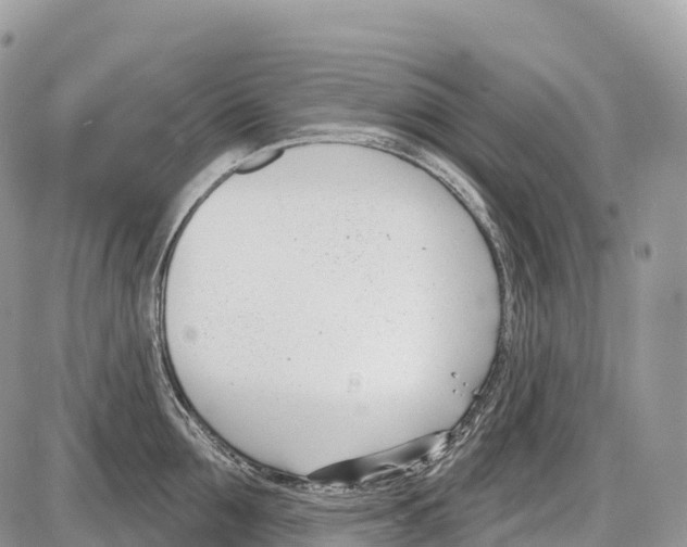 X0000086070907200704202123