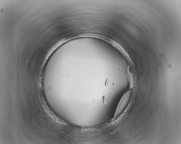 X0000086070908200704202123