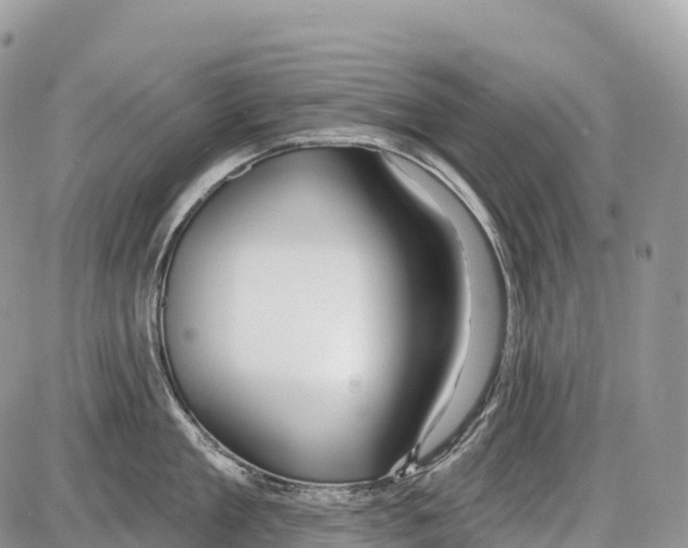 X0000086070909200704202123