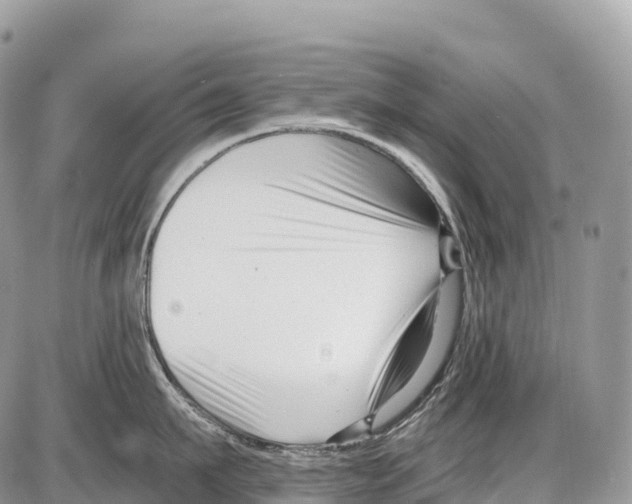 X0000086070911200704202123