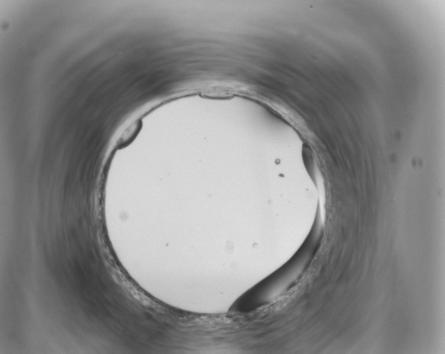 X0000086070912200704202123