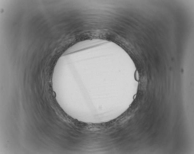 X0000086070913200704202122