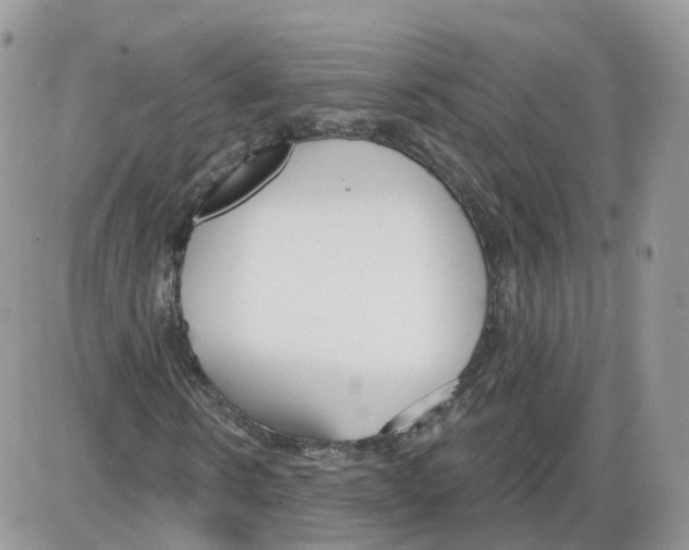 X0000086070914200704202122