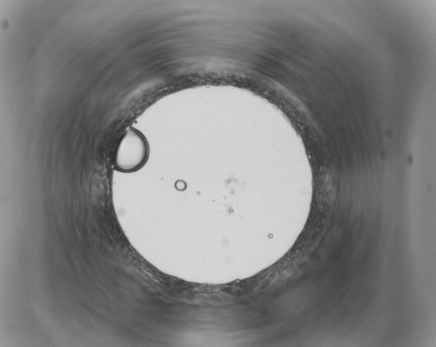 X0000086070918200704202122