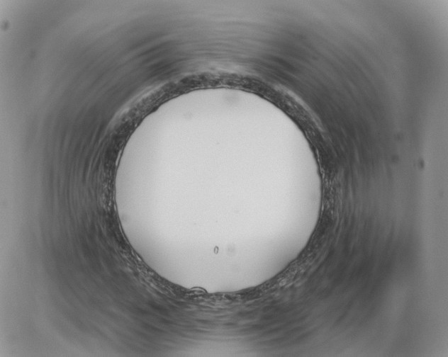 X0000086070919200704202122