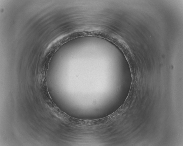 X0000086070920200704202122