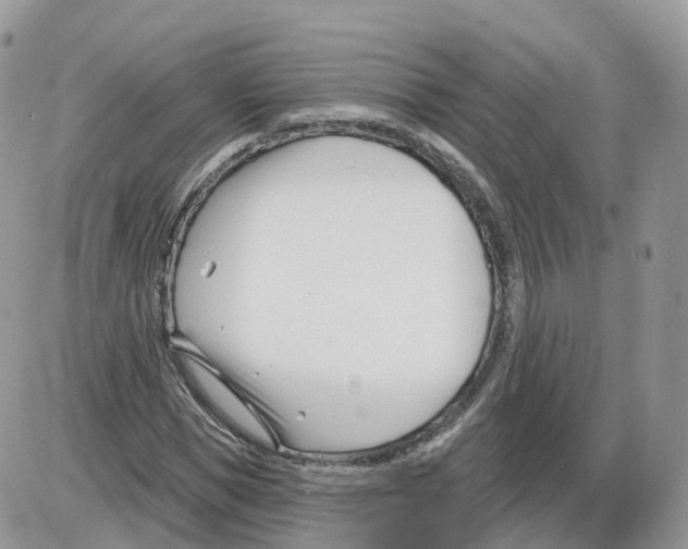 X0000086070921200704202122