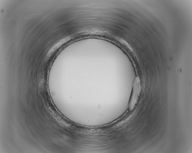 X0000086070922200704202122