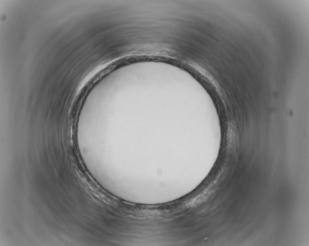 X0000086070925200704202122