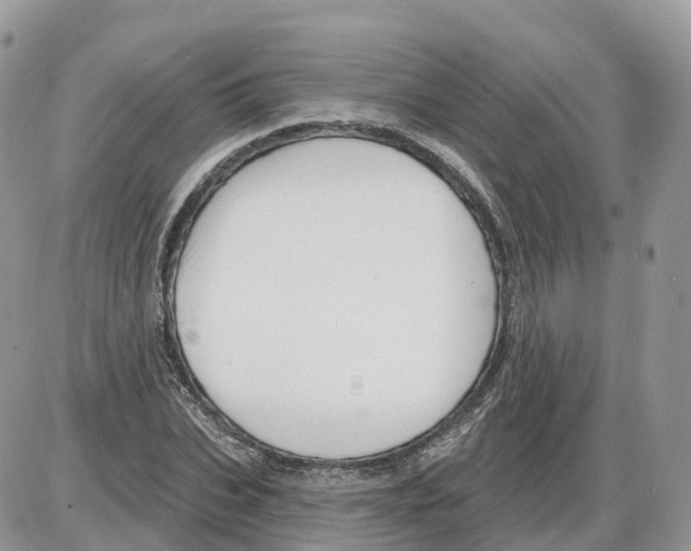 X0000086070927200704202122