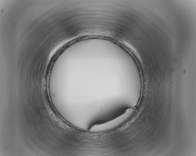 X0000086070928200704202122