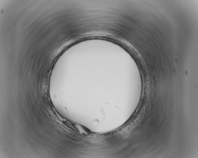 X0000086070929200704202122