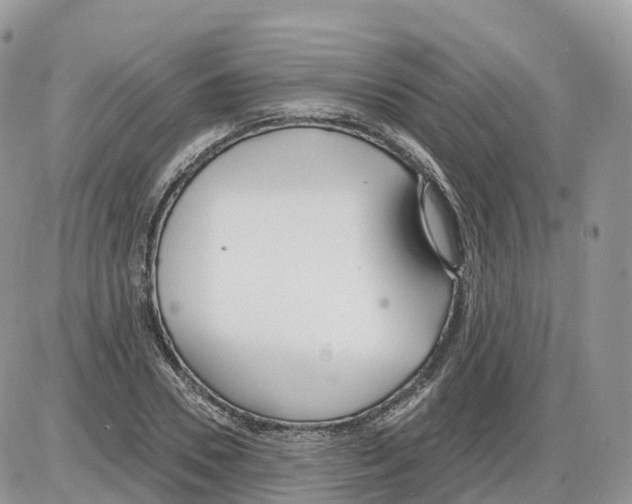 X0000086070930200704202122