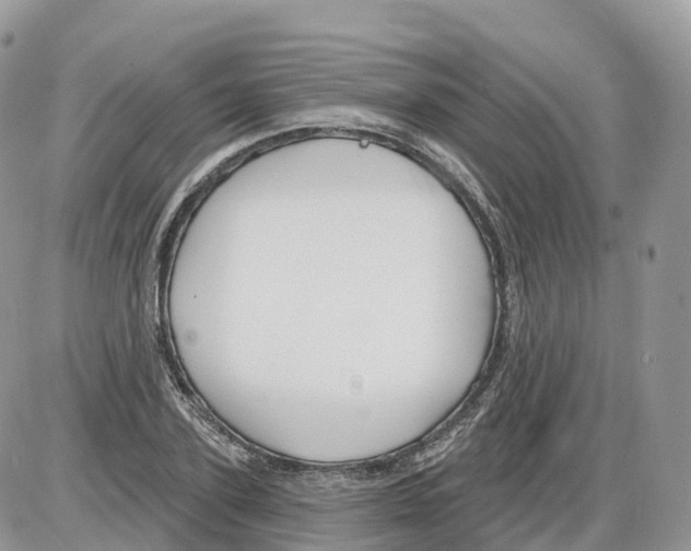 X0000086070931200704202122