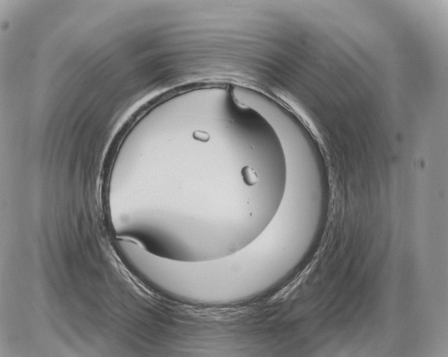 X0000086070932200704202122