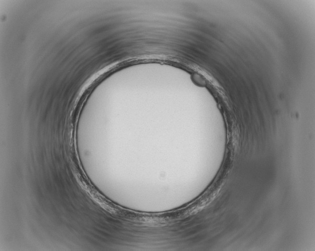 X0000086070933200704202123