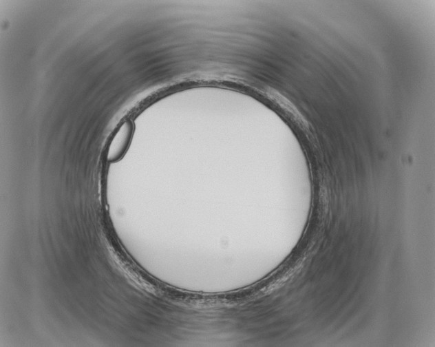 X0000086070934200704202123