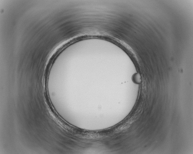 X0000086070935200704202123