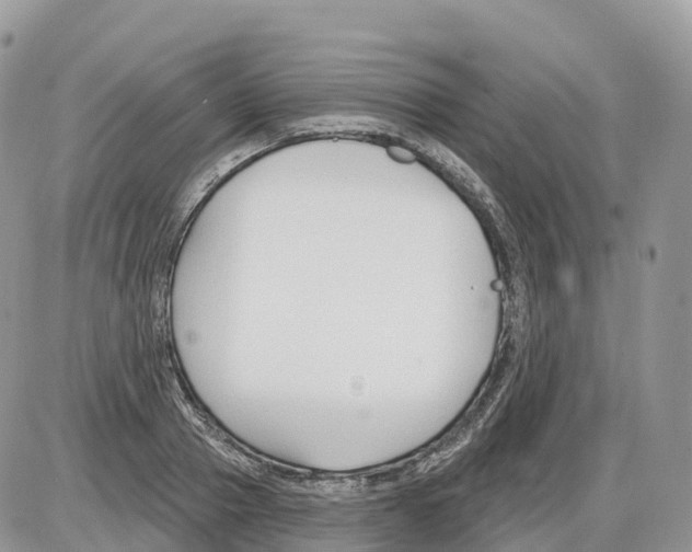 X0000086070937200704202123