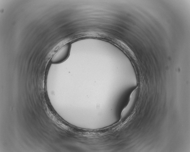 X0000086070938200704202123