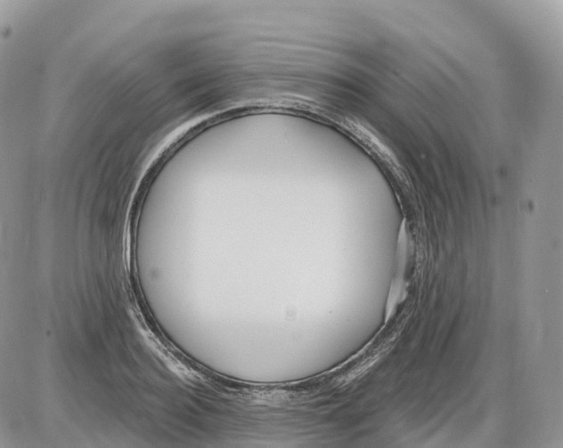 X0000086070940200704202123