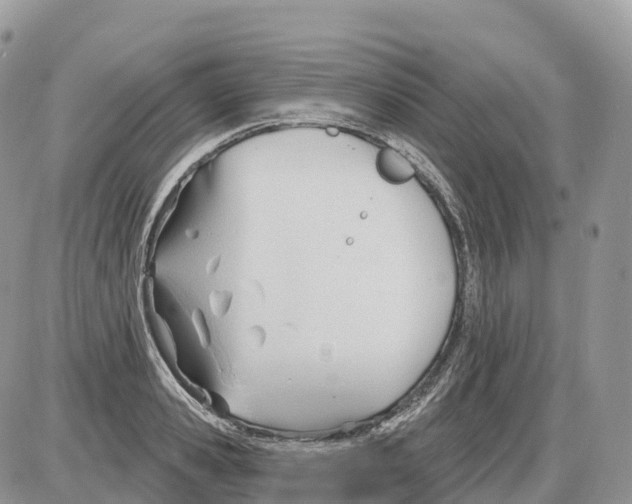 X0000086070941200704202123