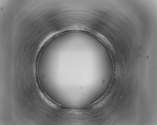 X0000086070942200704202123