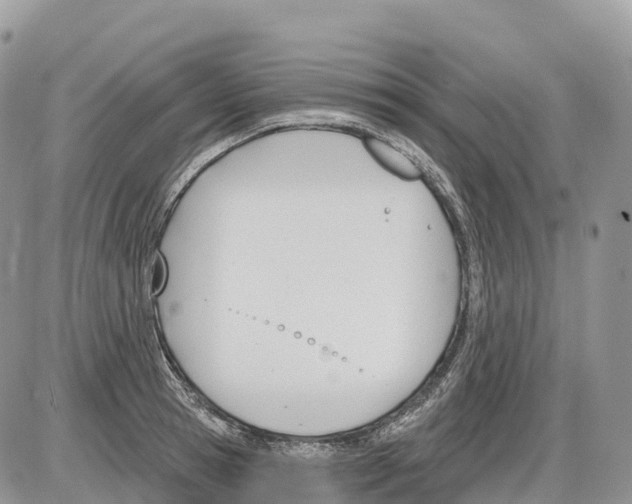 X0000086070945200704202123