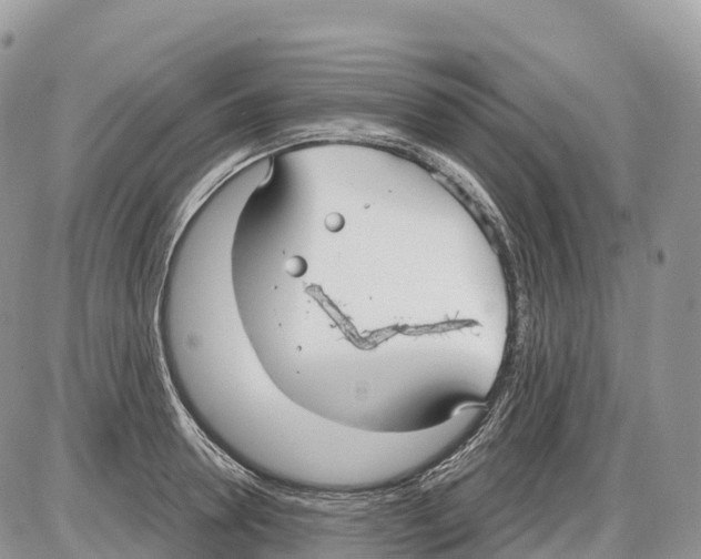 X0000086070946200704202123