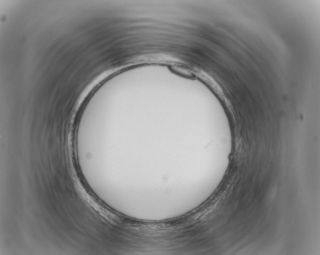 X0000086070947200704202123