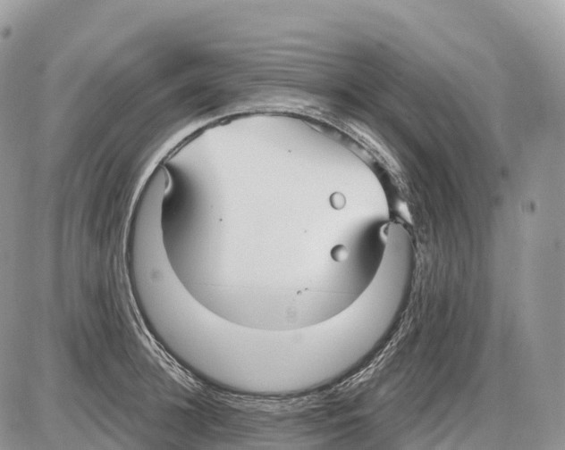 X0000086070948200704202123