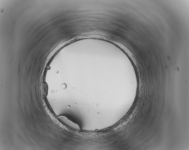 X0000086070949200704202123