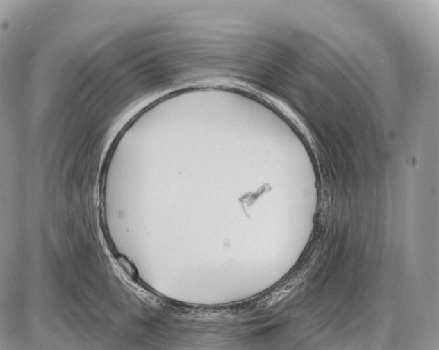 X0000086070951200704202123