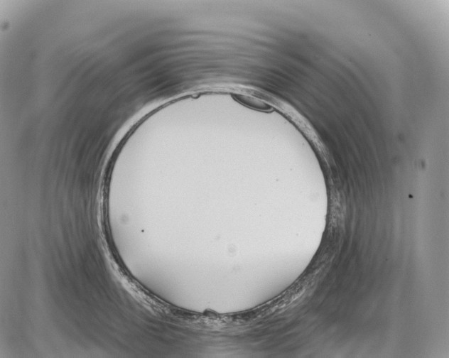 X0000086070955200704202123