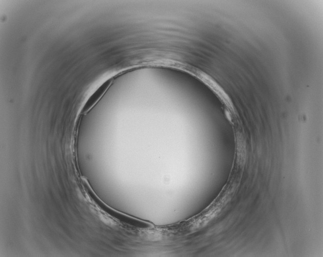 X0000086070956200704202123