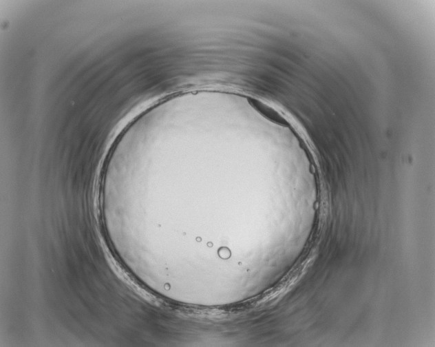 X0000086070957200704202123