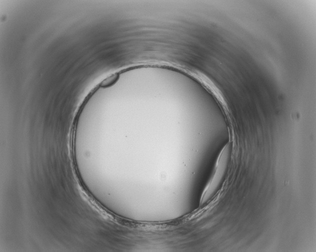 X0000086070958200704202123