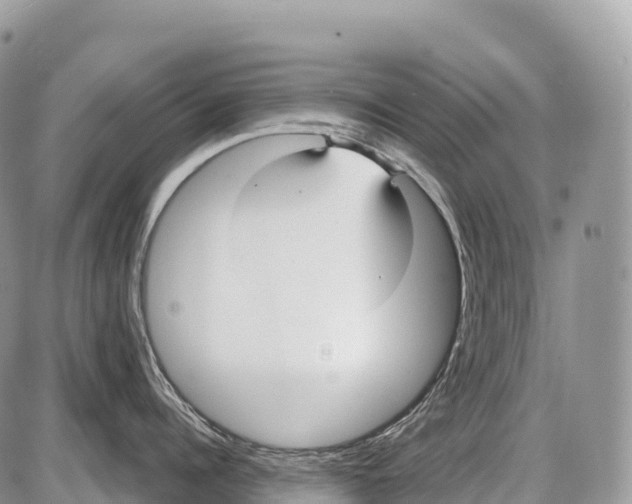 X0000086070960200704202123