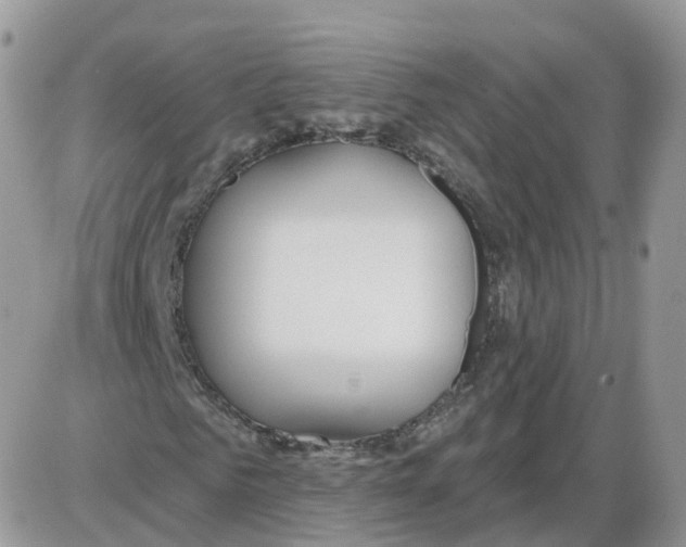 X0000086070961200704202122