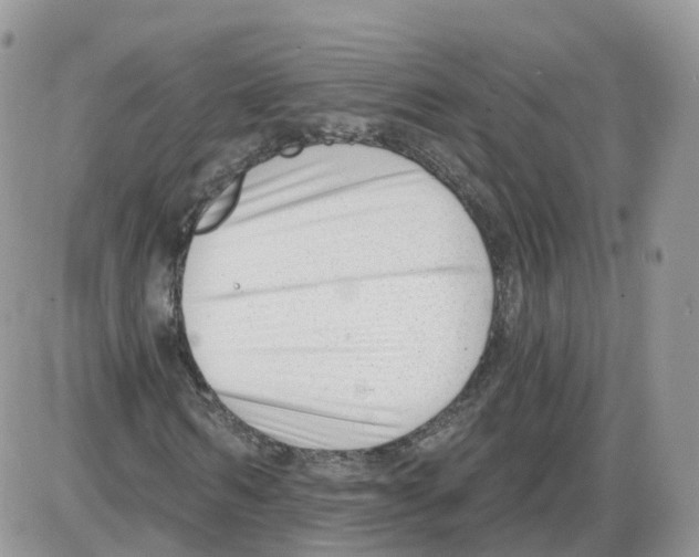 X0000086070962200704202122