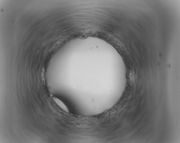 X0000086070963200704202122