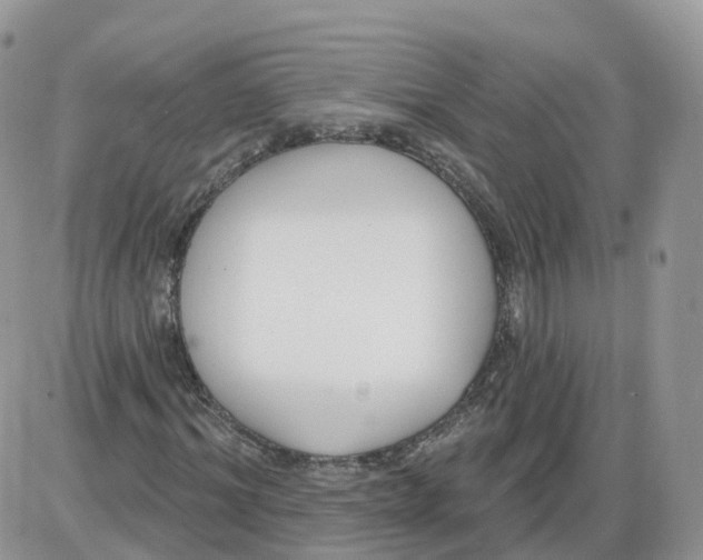 X0000086070964200704202122