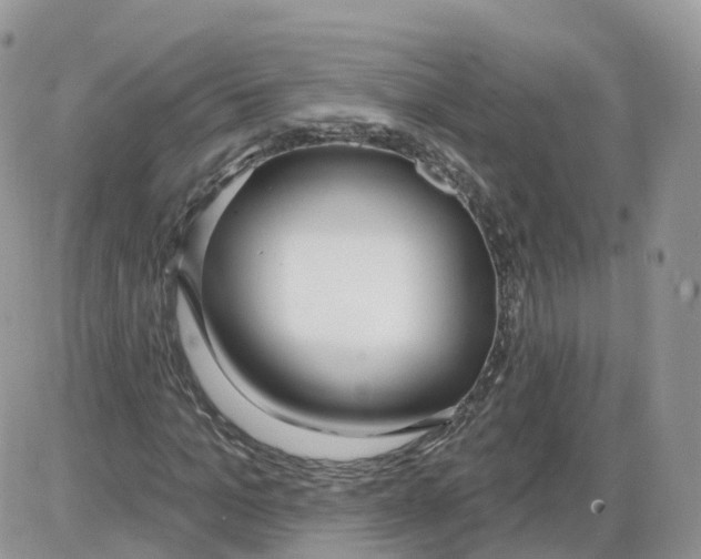 X0000086070965200704202122