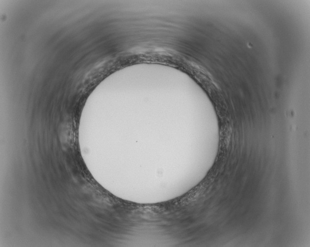 X0000086070966200704202122