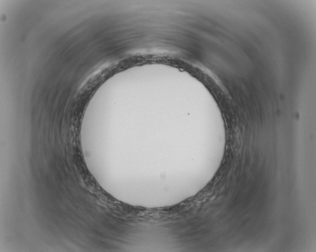 X0000086070967200704202122