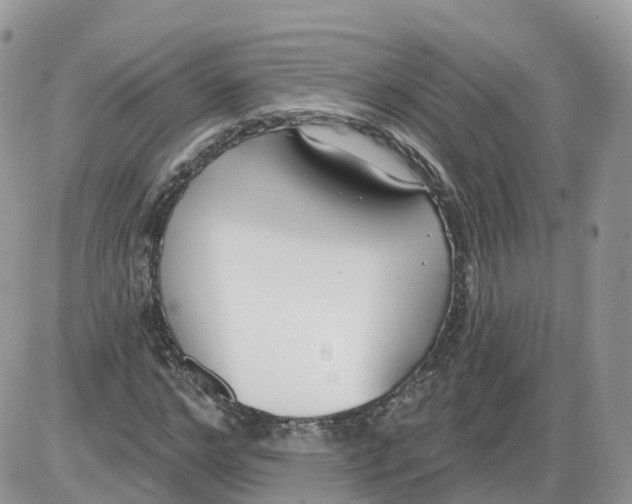 X0000086070968200704202122