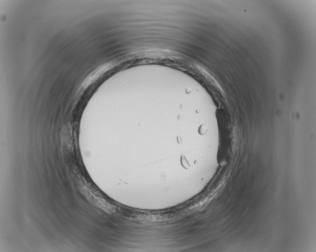 X0000086070970200704202122