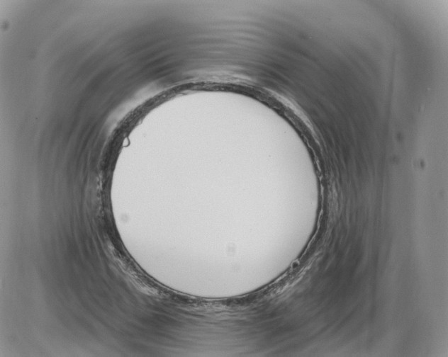 X0000086070971200704202122